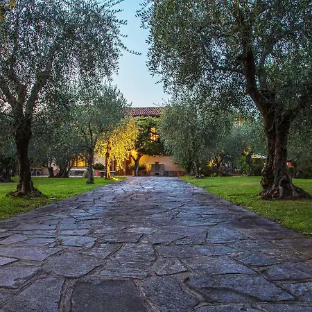 Olivee بيلاجيو